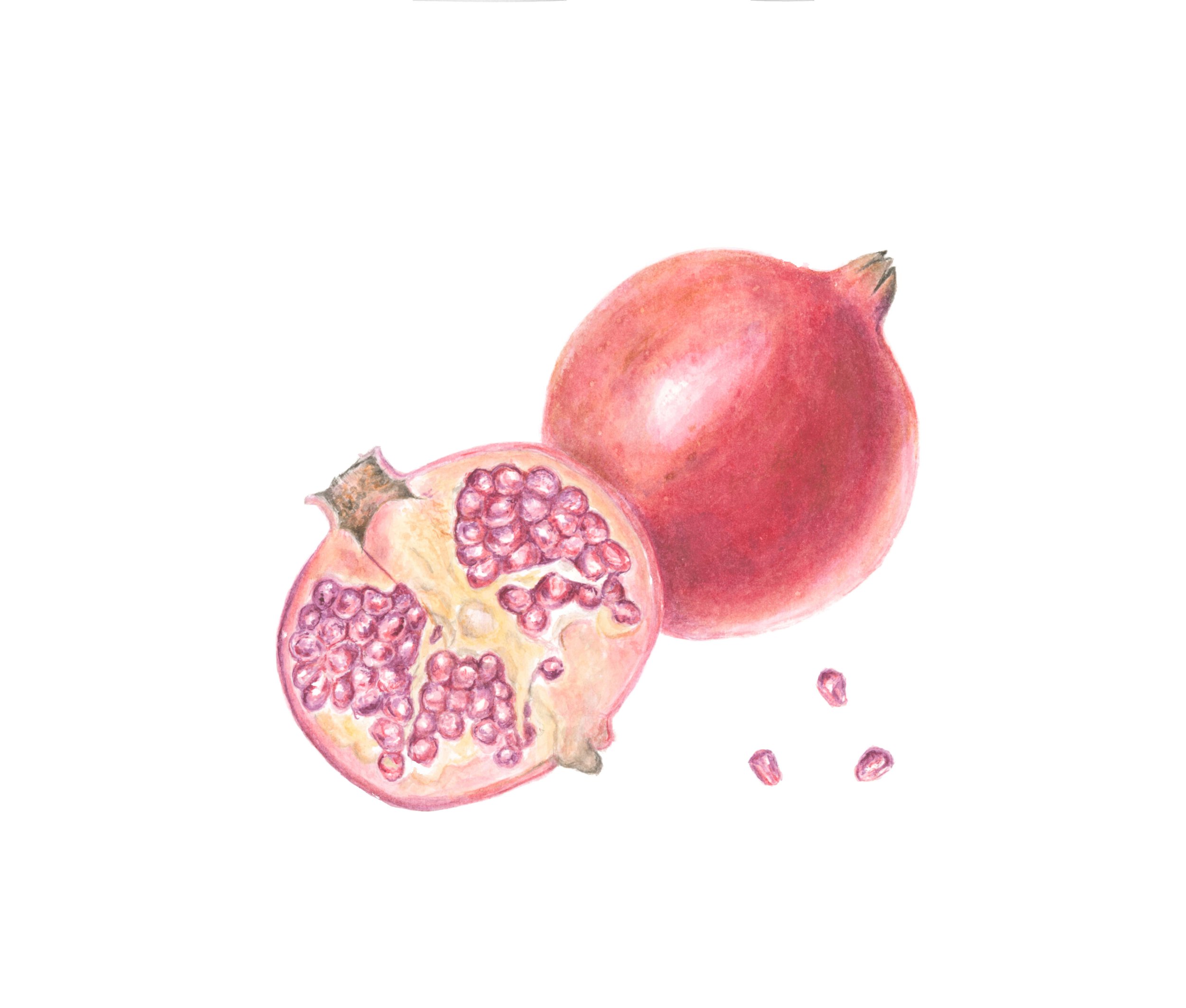 Pomegranate_clean_web.jpg