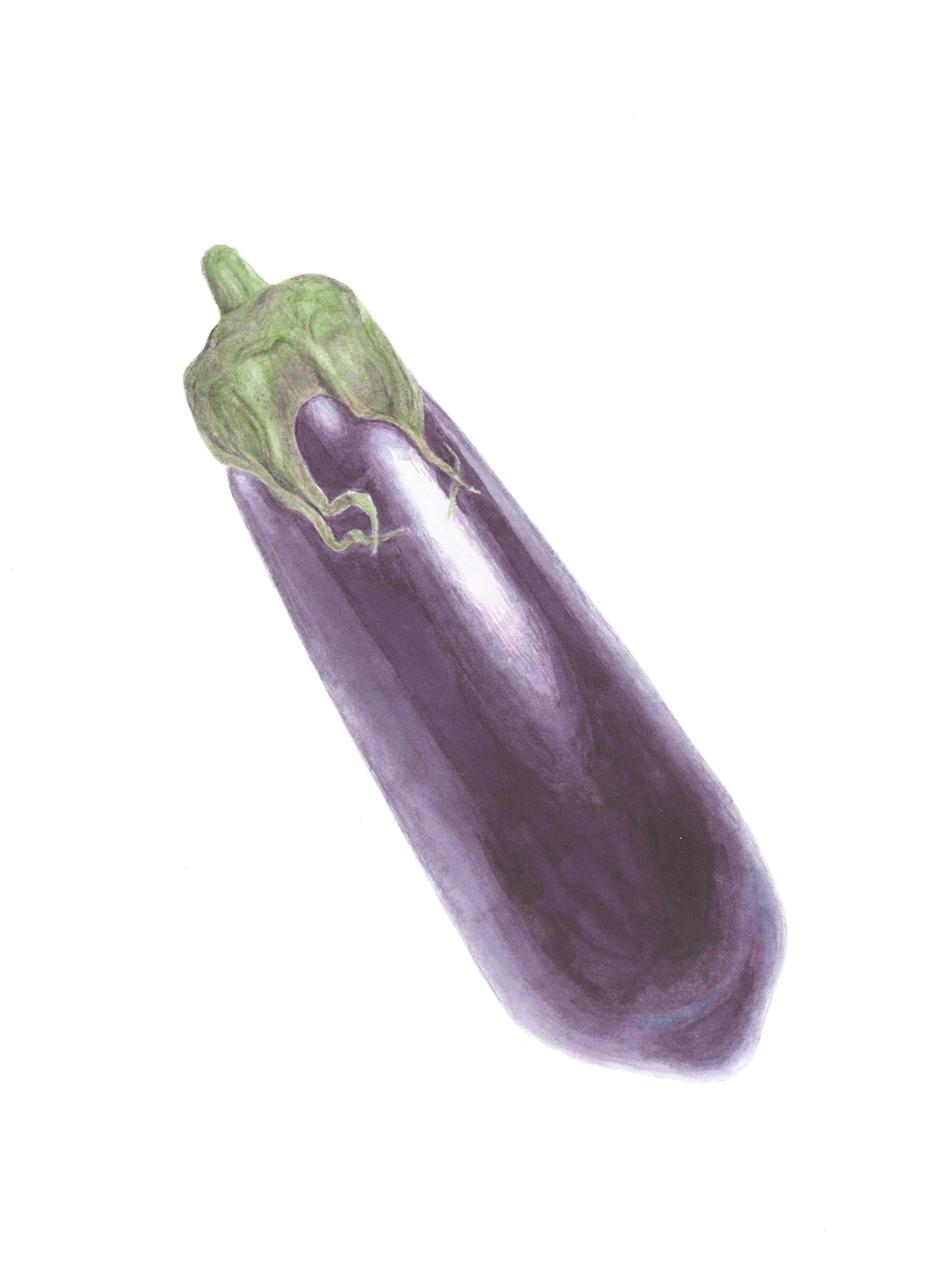 Eggplant_trans_opt.jpg