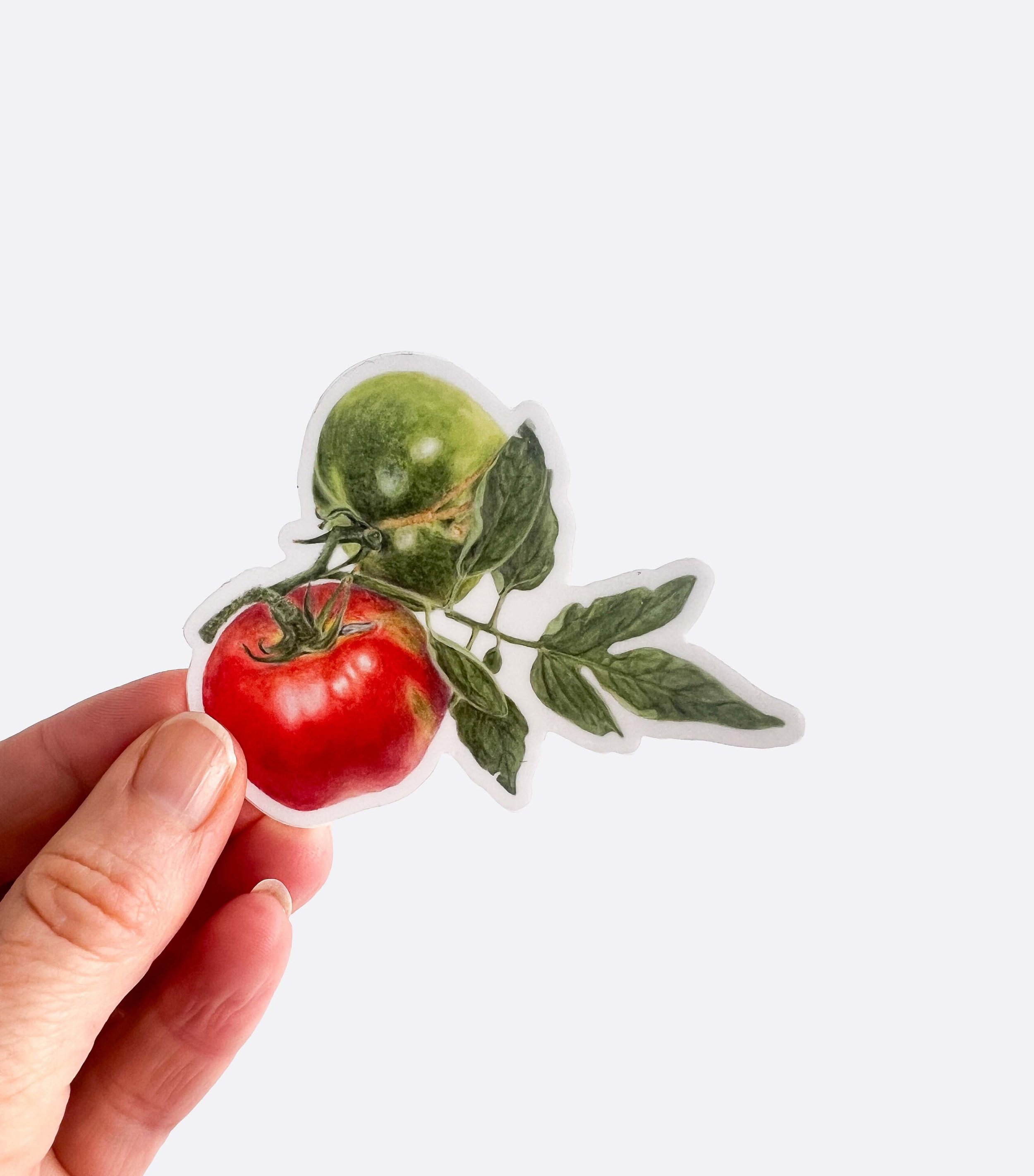 https://i.etsystatic.com/32735133/r/il/3dec2e/5816117285/il_fullxfull.5816117285_7b2k.jpg