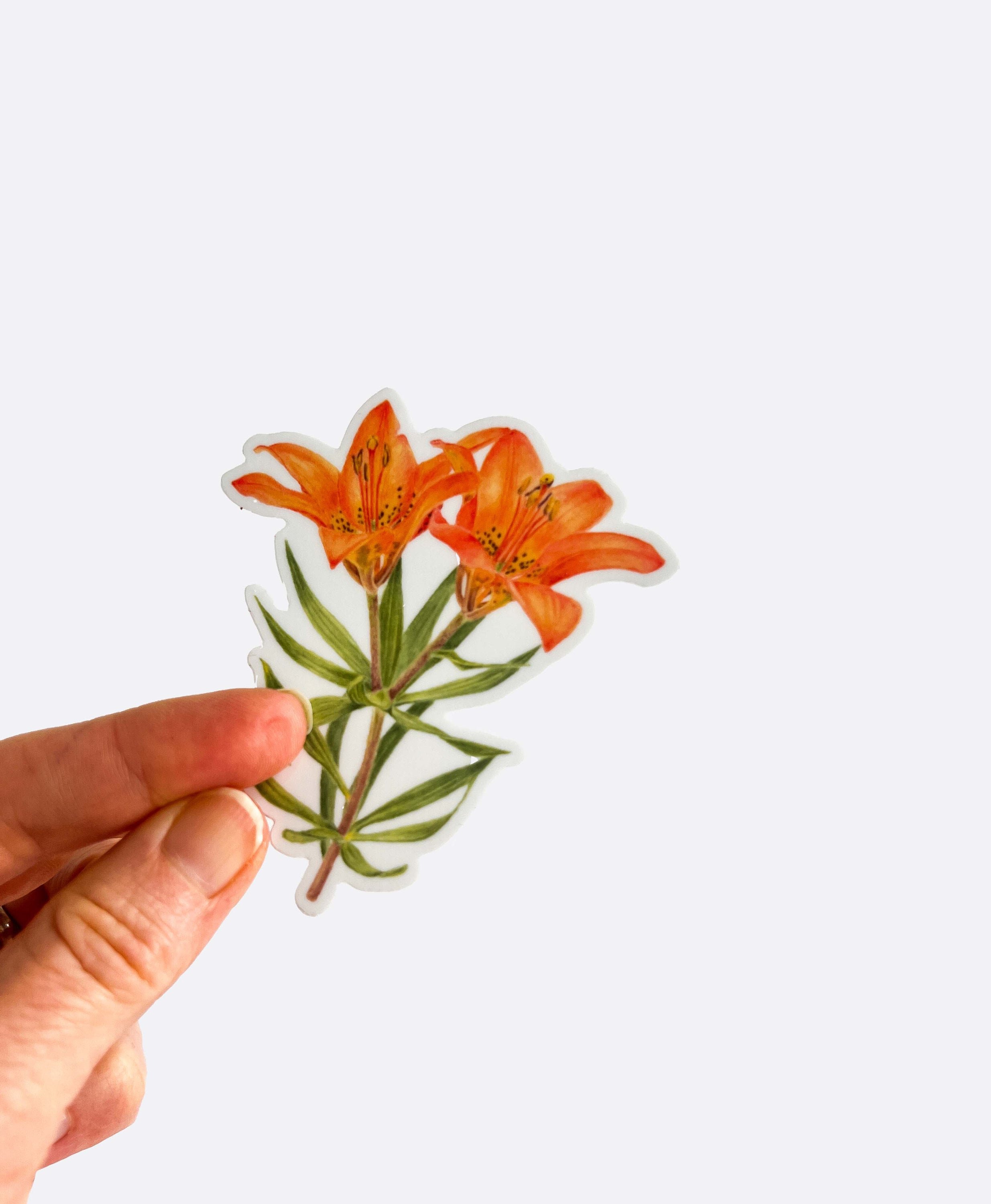 https://i.etsystatic.com/32735133/r/il/14fdd0/5768035346/il_fullxfull.5768035346_o7v0.jpg