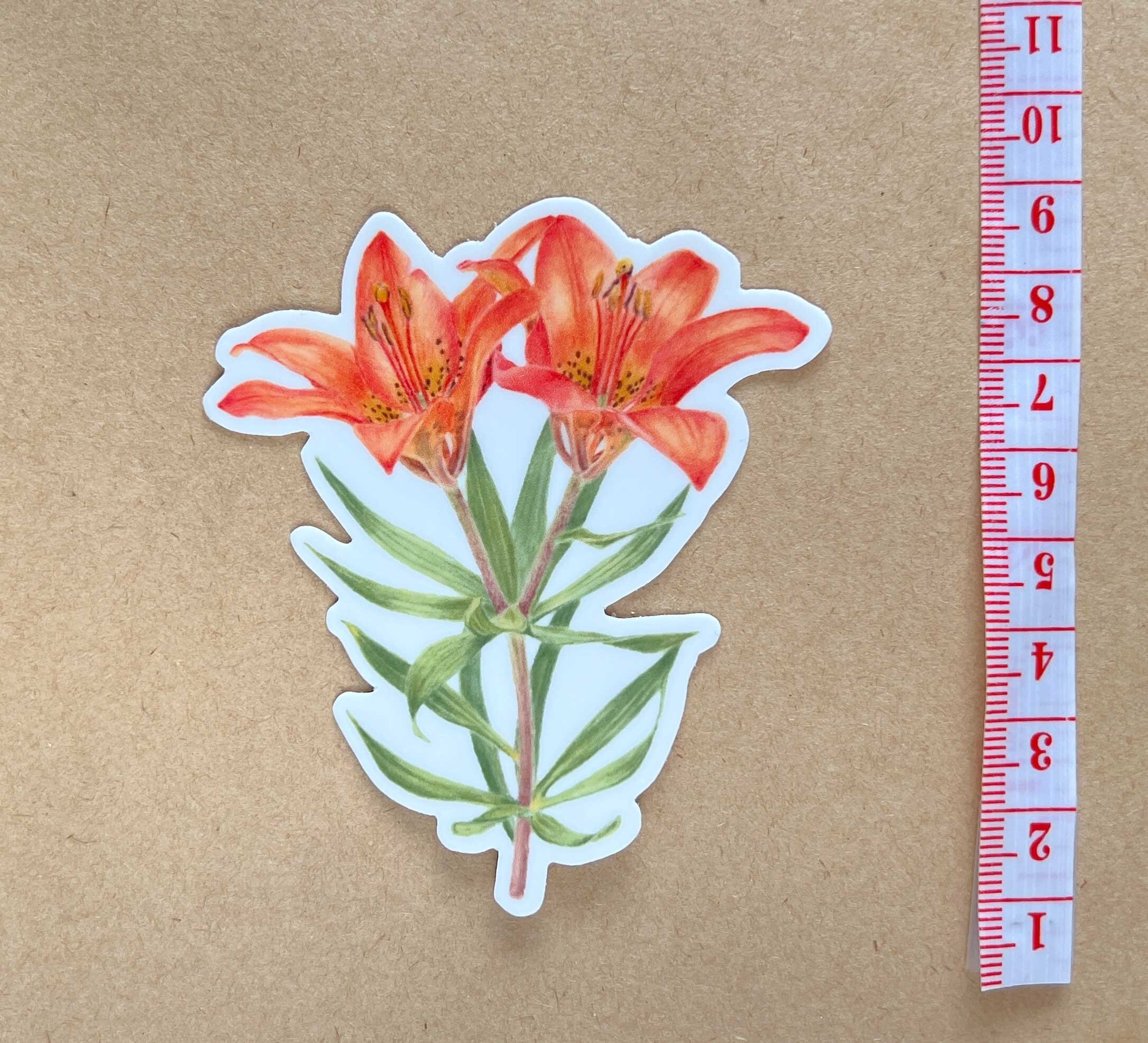 https://i.etsystatic.com/32735133/r/il/db9530/4966668273/il_fullxfull.4966668273_b4n9.jpg