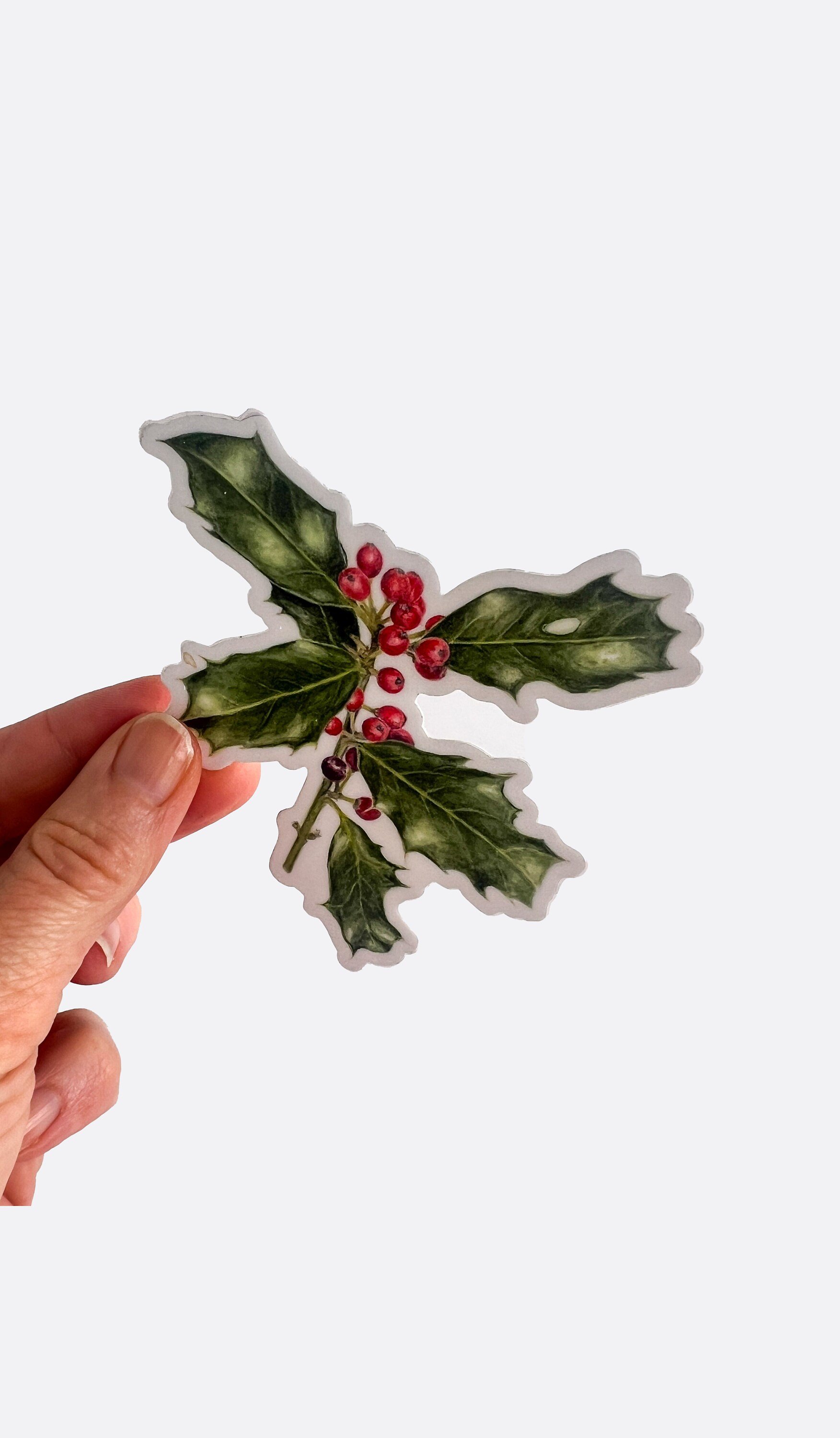 https://i.etsystatic.com/32735133/r/il/74aaf8/5816059119/il_fullxfull.5816059119_ranl.jpg