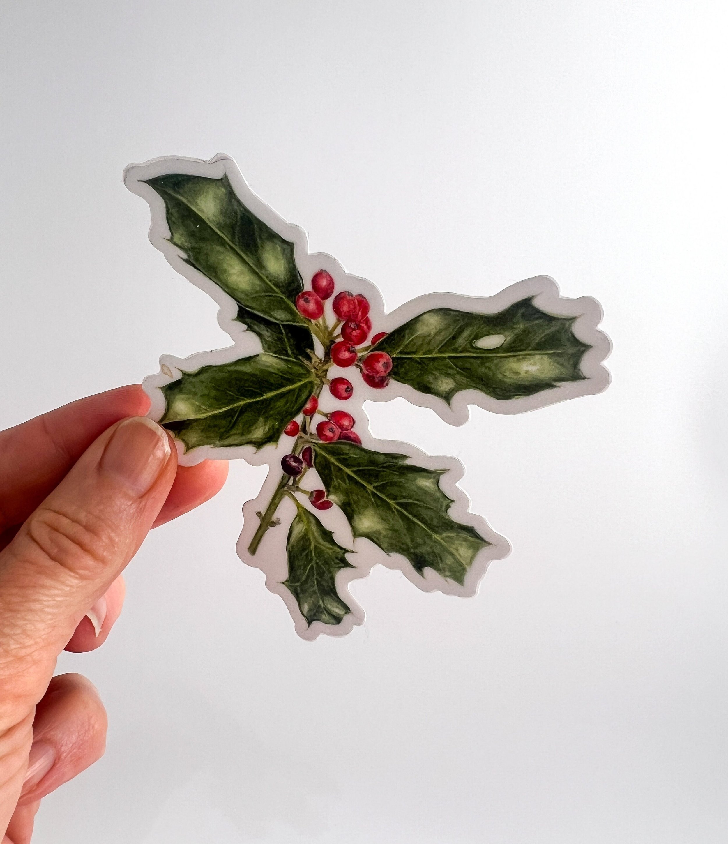 https://i.etsystatic.com/32735133/r/il/6fe7d8/5767880170/il_fullxfull.5767880170_42ug.jpg