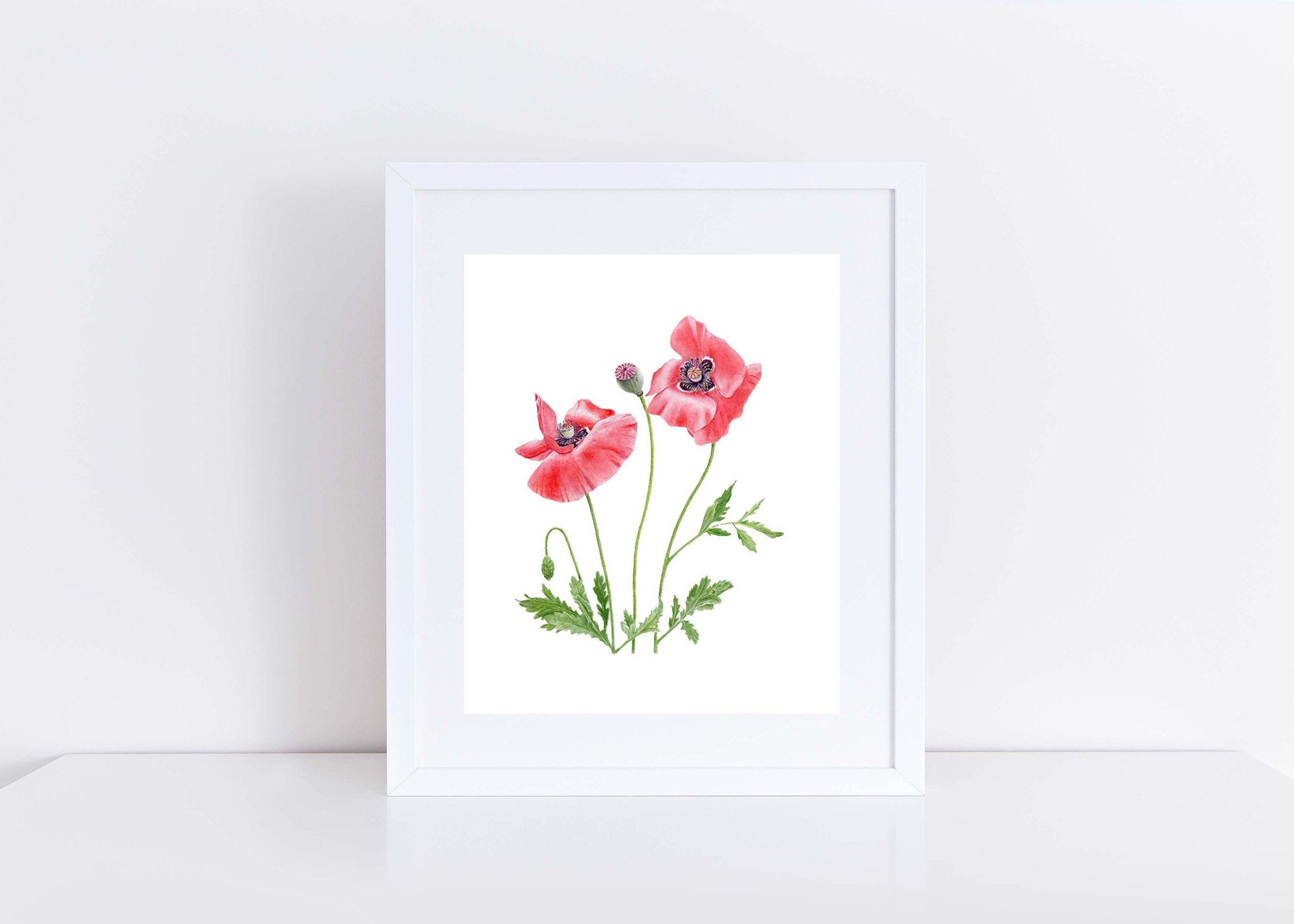 Poppy_White_Frame_8x10.jpg