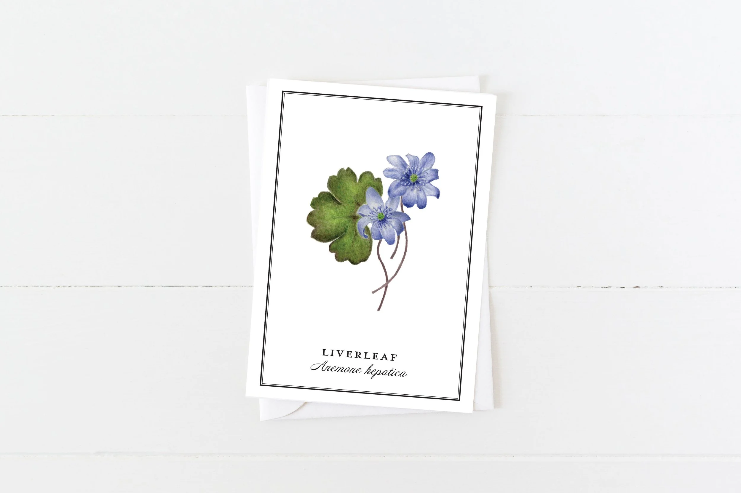 Blue Alpine Flower Card