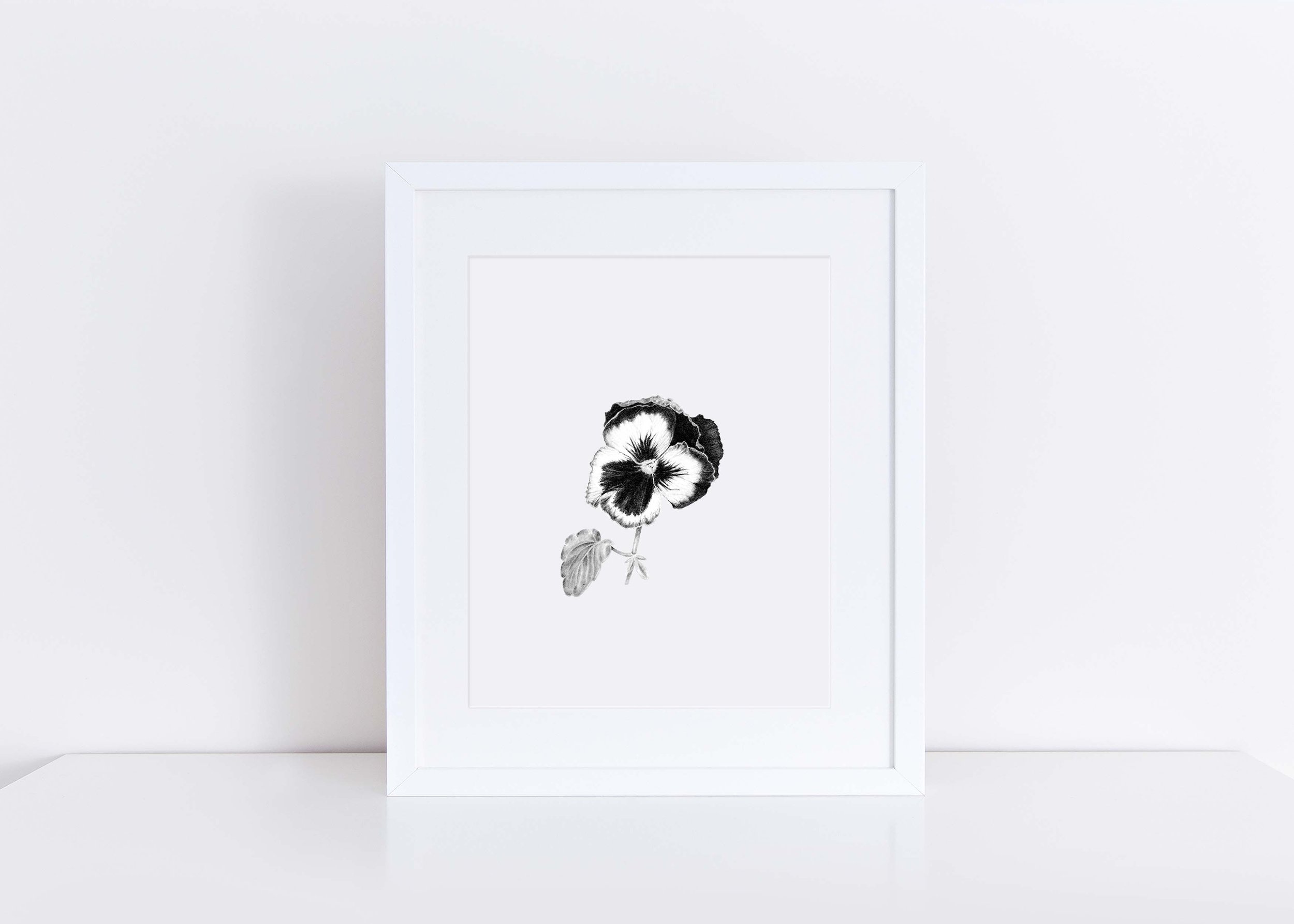 Graphite Pansy - original drawing