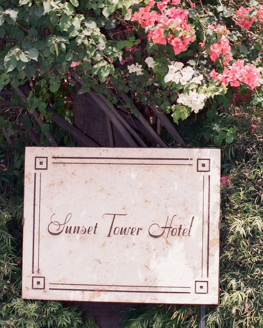 Olivia and Jeff&rsquo;s quintessential Los Angeles wedding at the Sunset Tower Hotel

second shot for @isabelhenryphoto 

#losangelesweddingphotographer #editorialweddingphotographer #filmweddingphotographer #destinationwedding