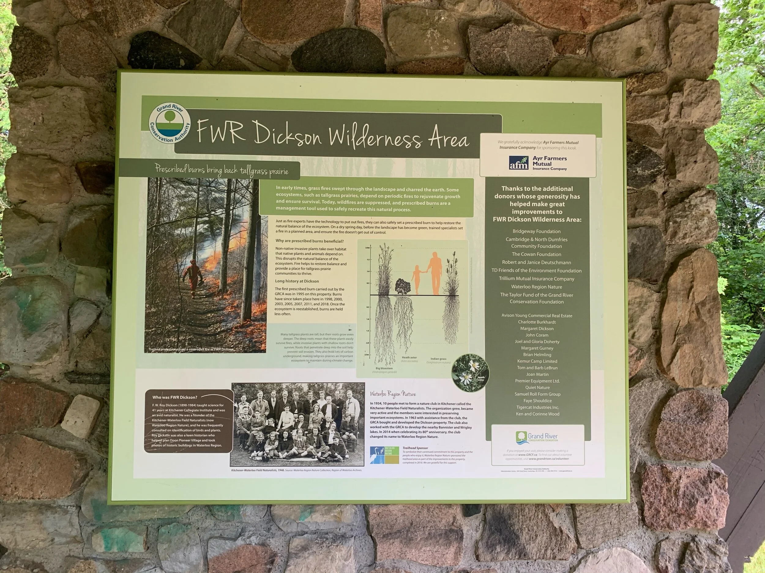 FWR Dickson Wilderness Area - short 1.9km hike on the far loop. Hopefully will have this hike posted before Canada Day (July 1st). 