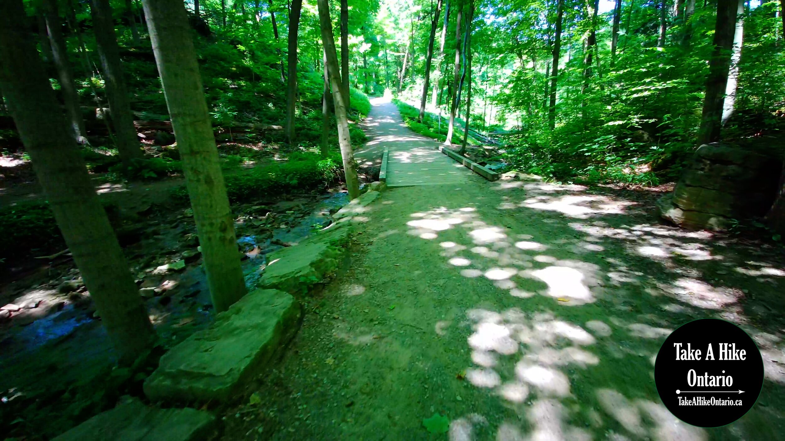 Dundas Valley Conservation Area - Main Loop Trail