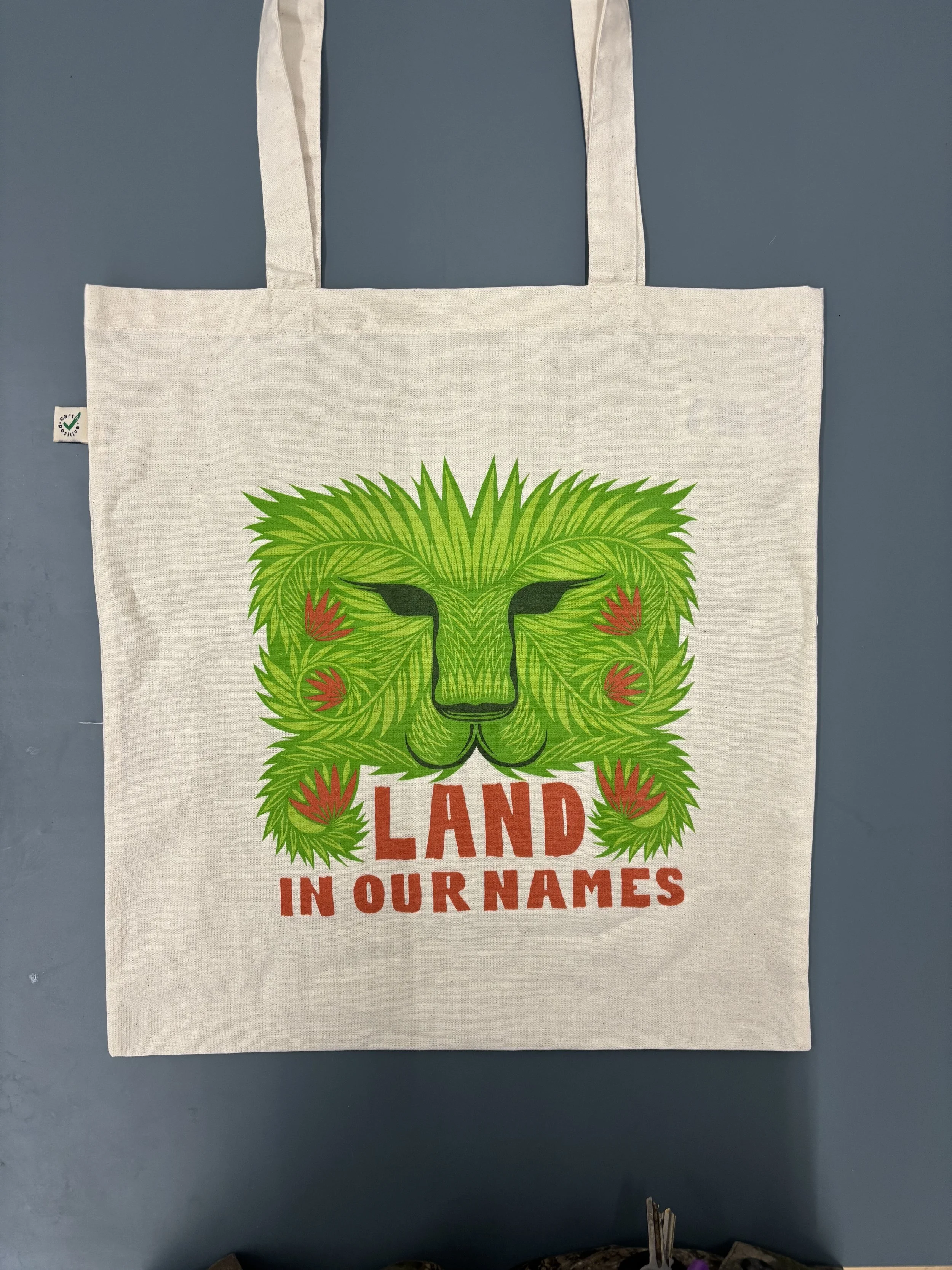 IMG_9511 white tote.jpg