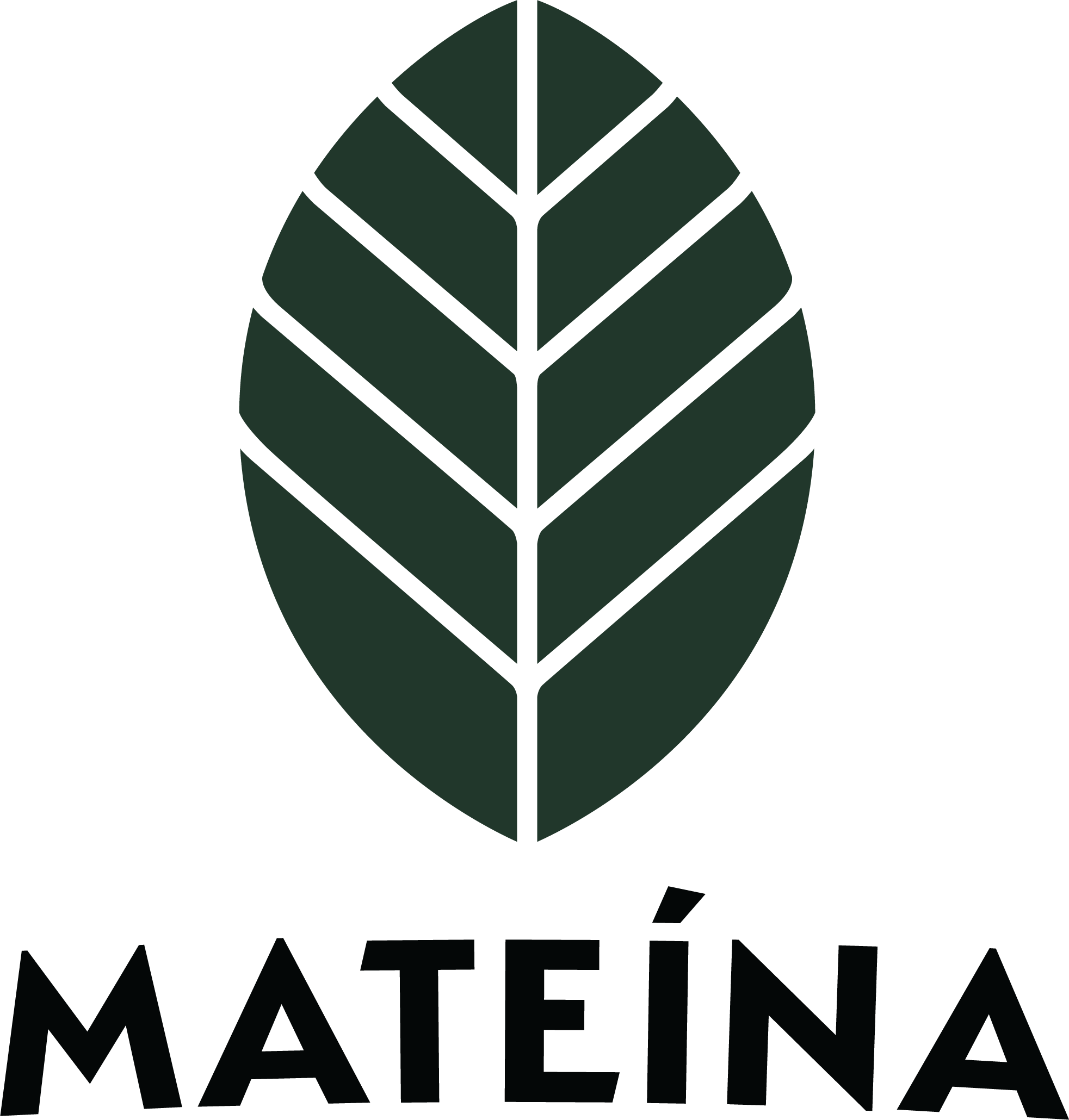 LOGO-MATEINA-ORGANIC-YERBA-MATE-THÉ-MATÉ-BIOLOGIQUE-V2.png