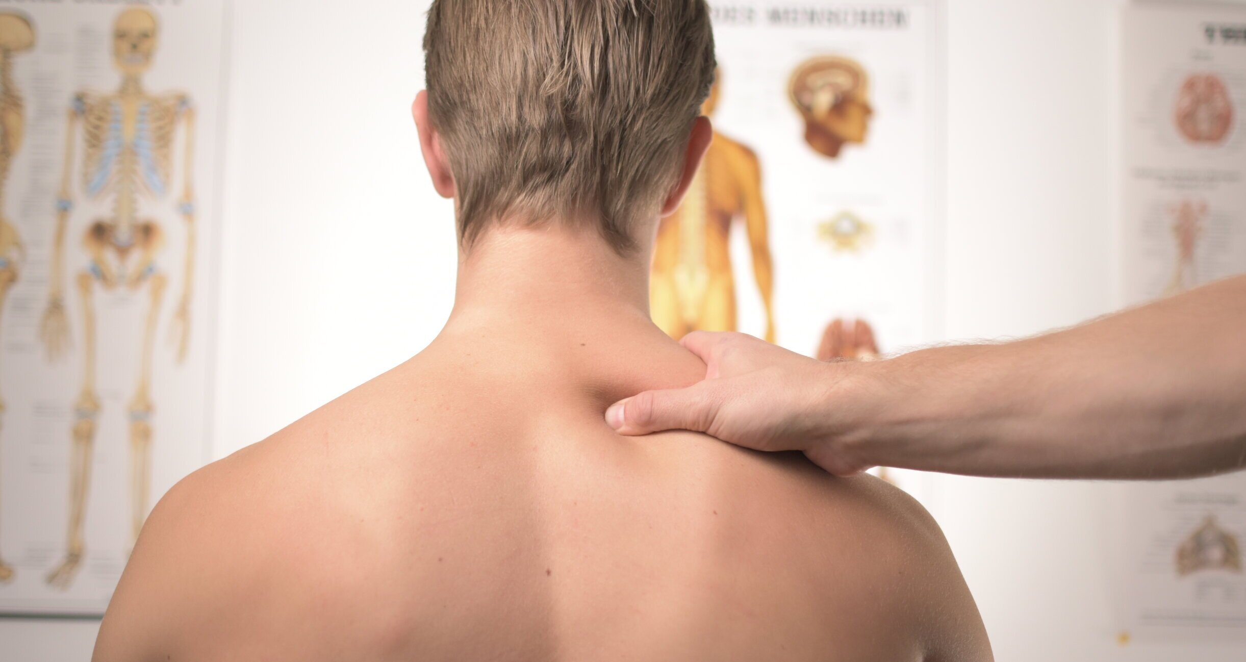   Your spinal health   IN EXPERT HANDS    