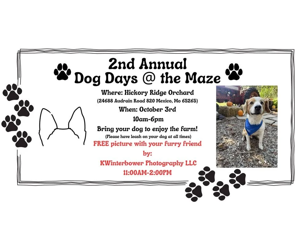 2nd annual Dog Days @ the Maze