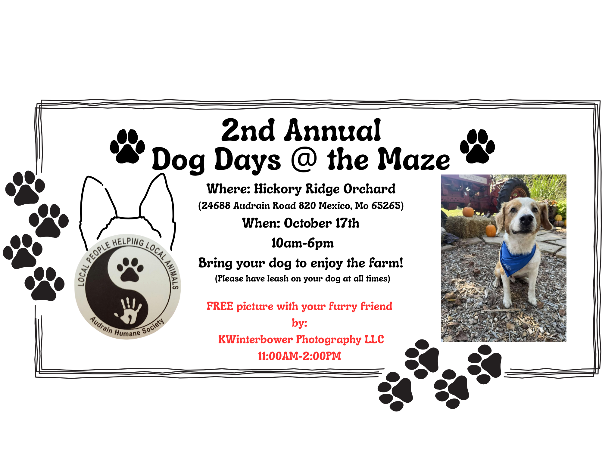 2nd annual Dog Days @ the Maze