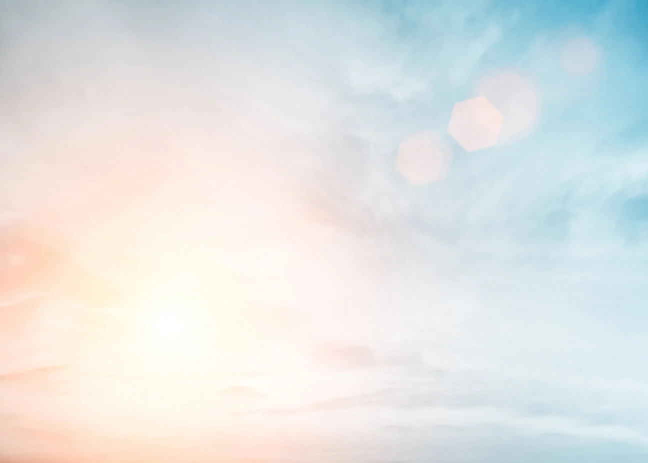 Background online.jpg