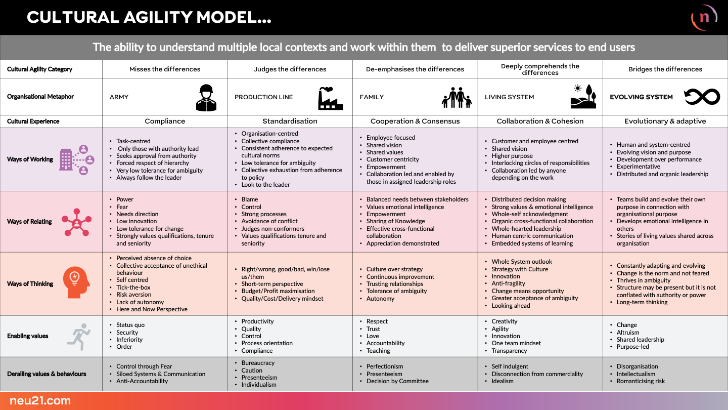 A Model for Cultural Agility — Neu21