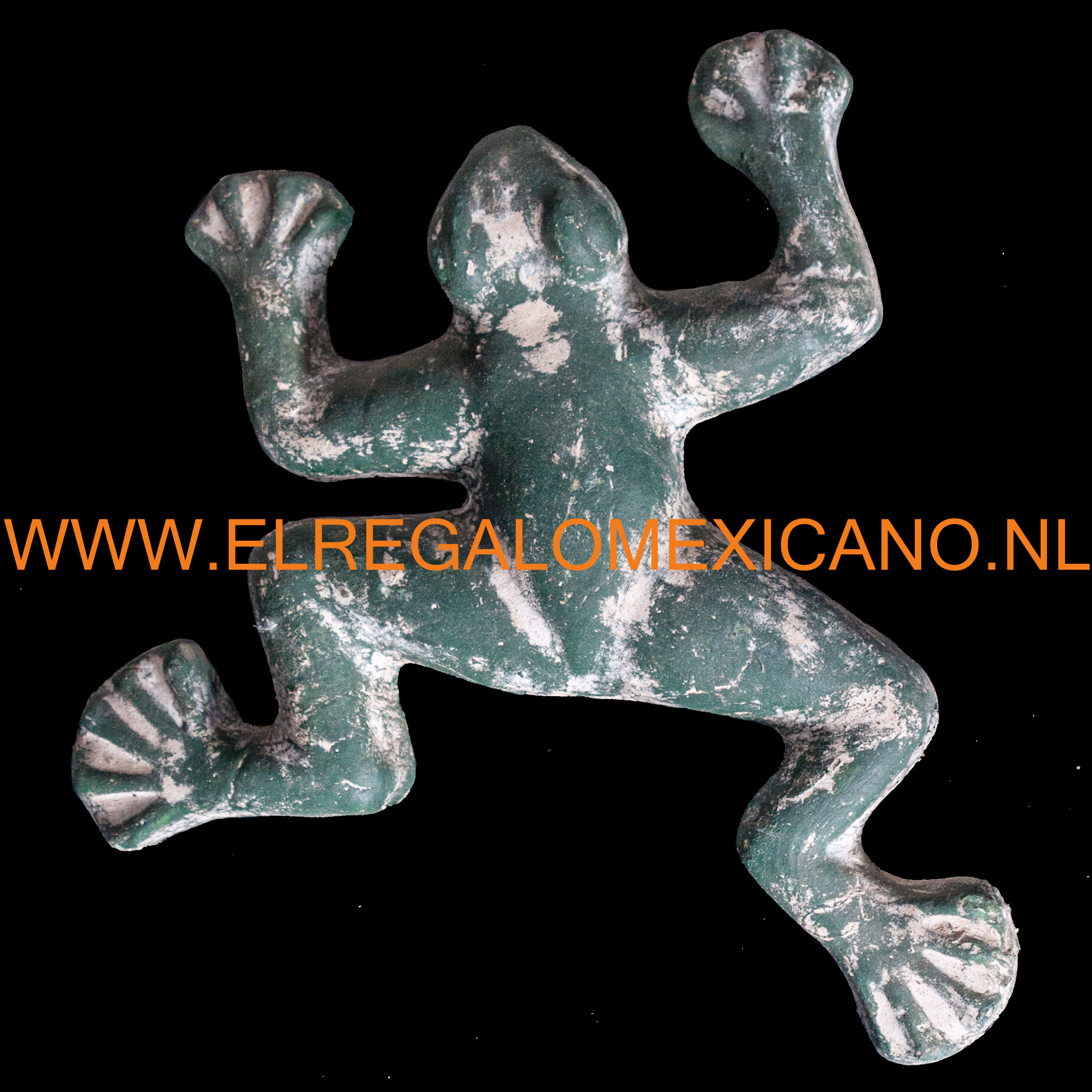 Terracotta schildpad -103.jpg