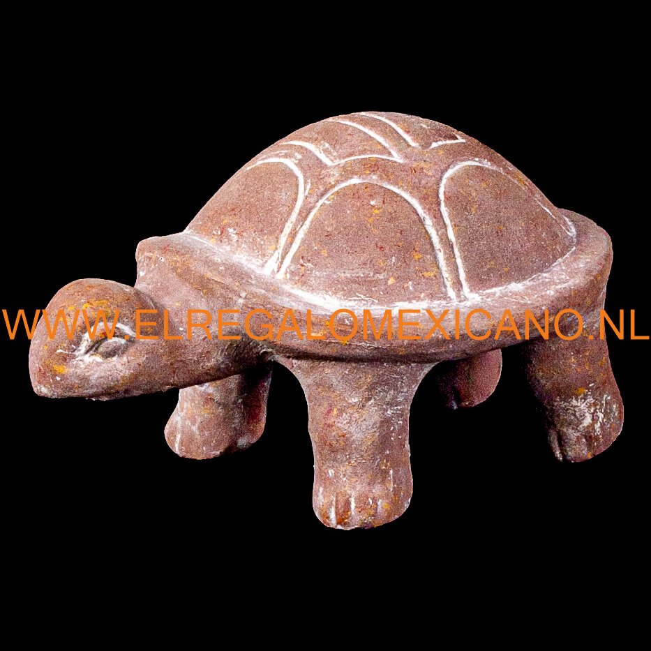 Terracotta schildpad -104.jpg