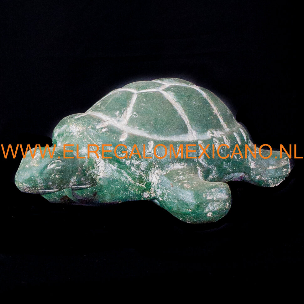 Terracotta schildpad -107.jpg
