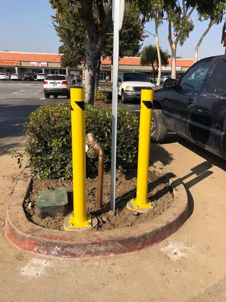 WhatsApp Image 2020-06-19 at 10.38.55 AM.jpeg