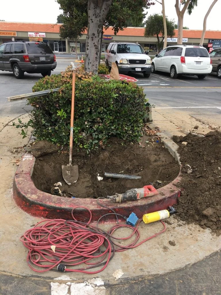 WhatsApp Image 2020-06-19 at 10.38.55 AM (1).jpeg