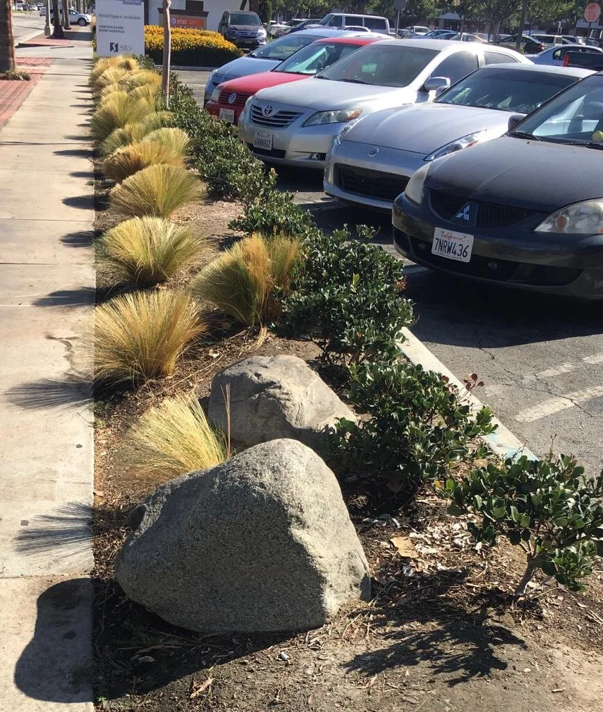 WhatsApp Image 2020-06-19 at 10.38.55 AM (2).jpeg