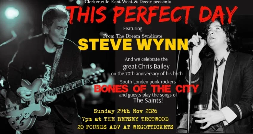 Steve Wynn + Bones of the City