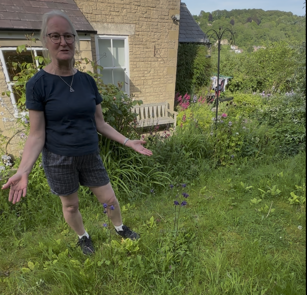 Hear Tamzin Phillips' story of working with nature and renewing her home. Click on image above.