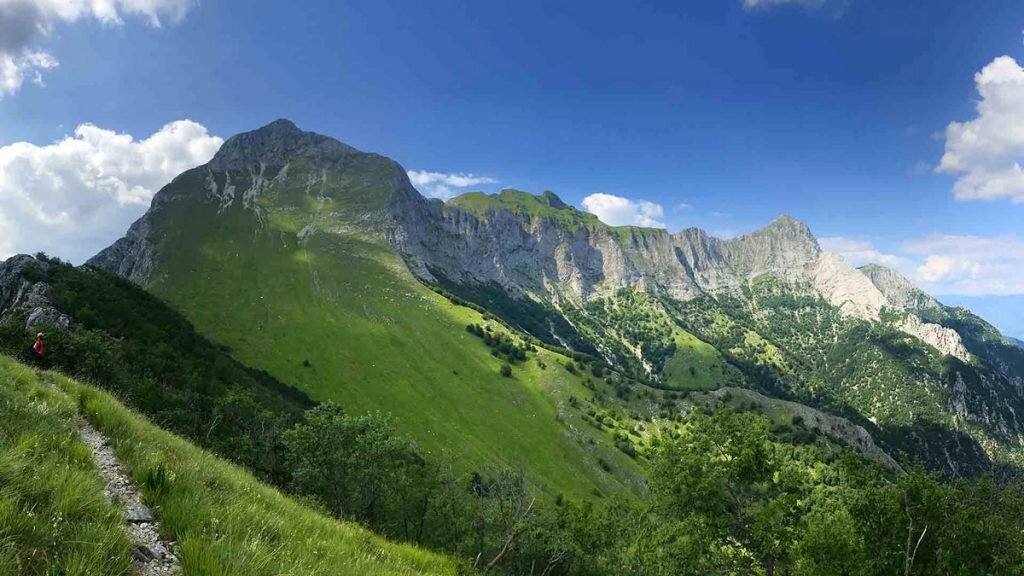Alpi Apuane.jpg