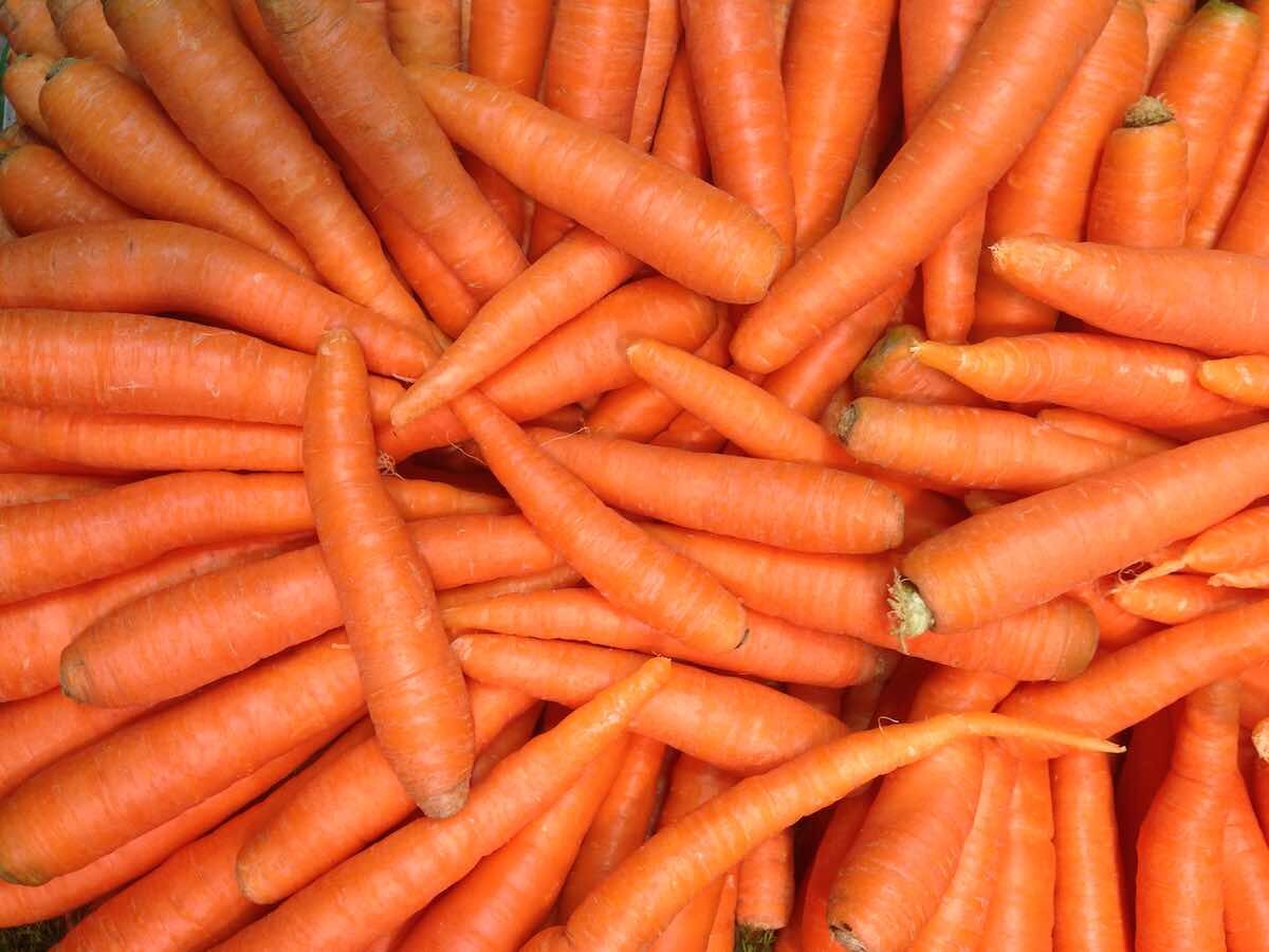 carote.jpeg