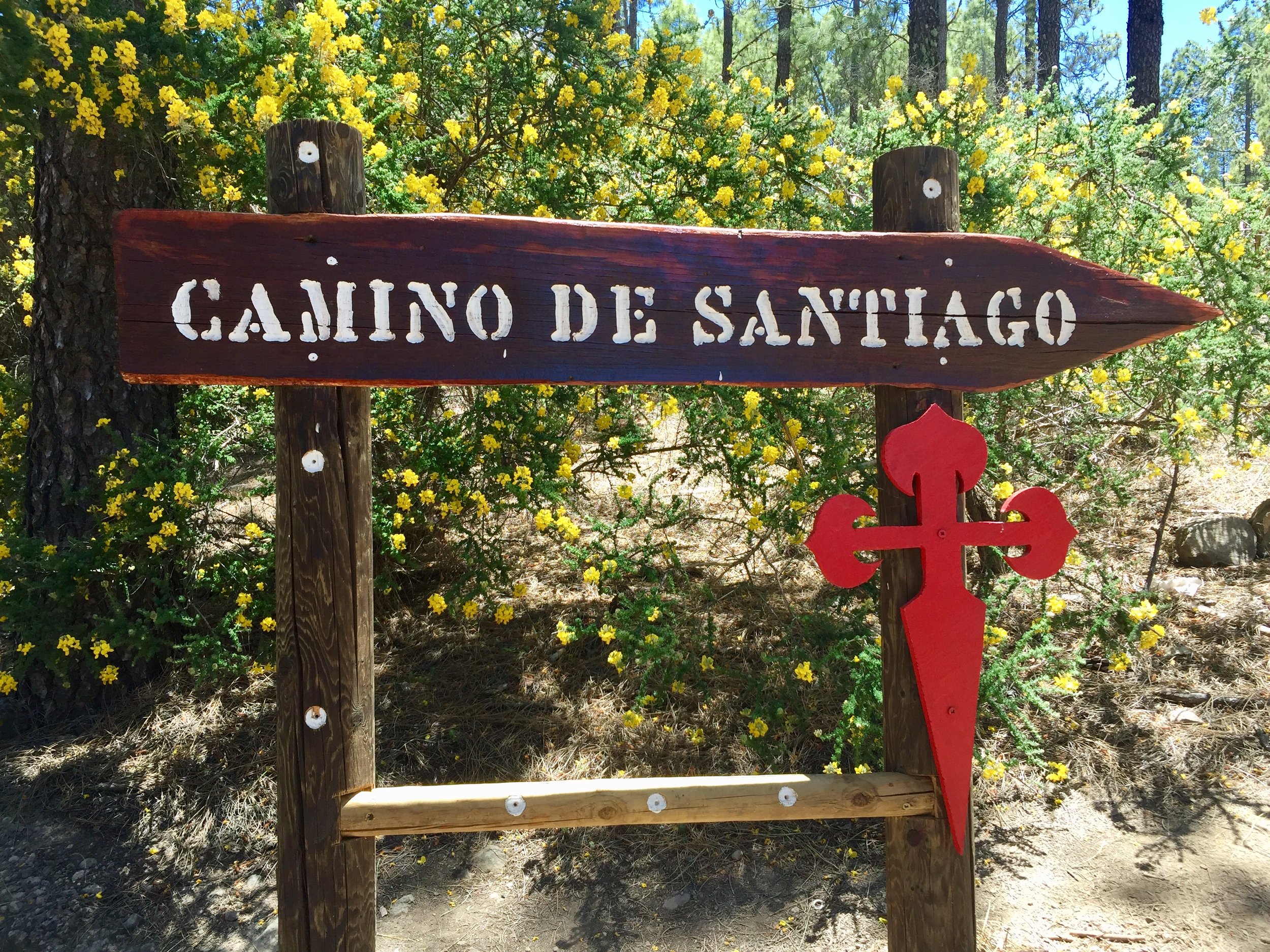 Cammino di Santiago a Gran Canaria — Vette e Baite