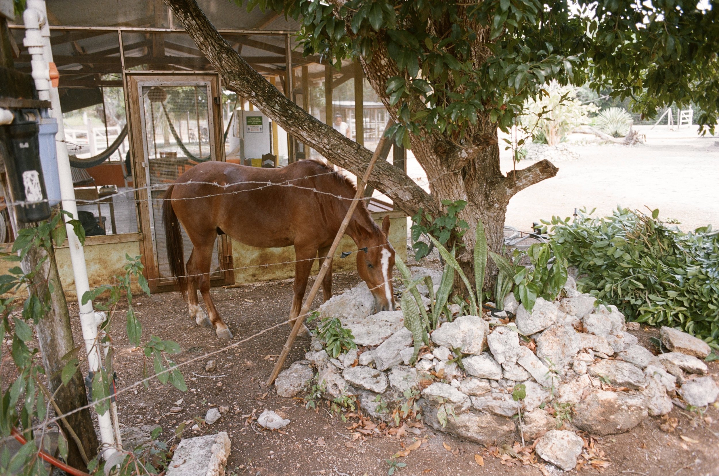 4171_0002.jpg