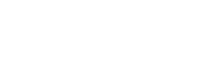 WITMER DESIGN