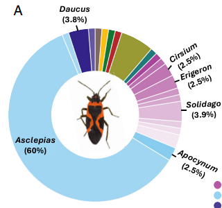 Nathaniel’s Second Paper From His Undergraduate Research Has Been Published!