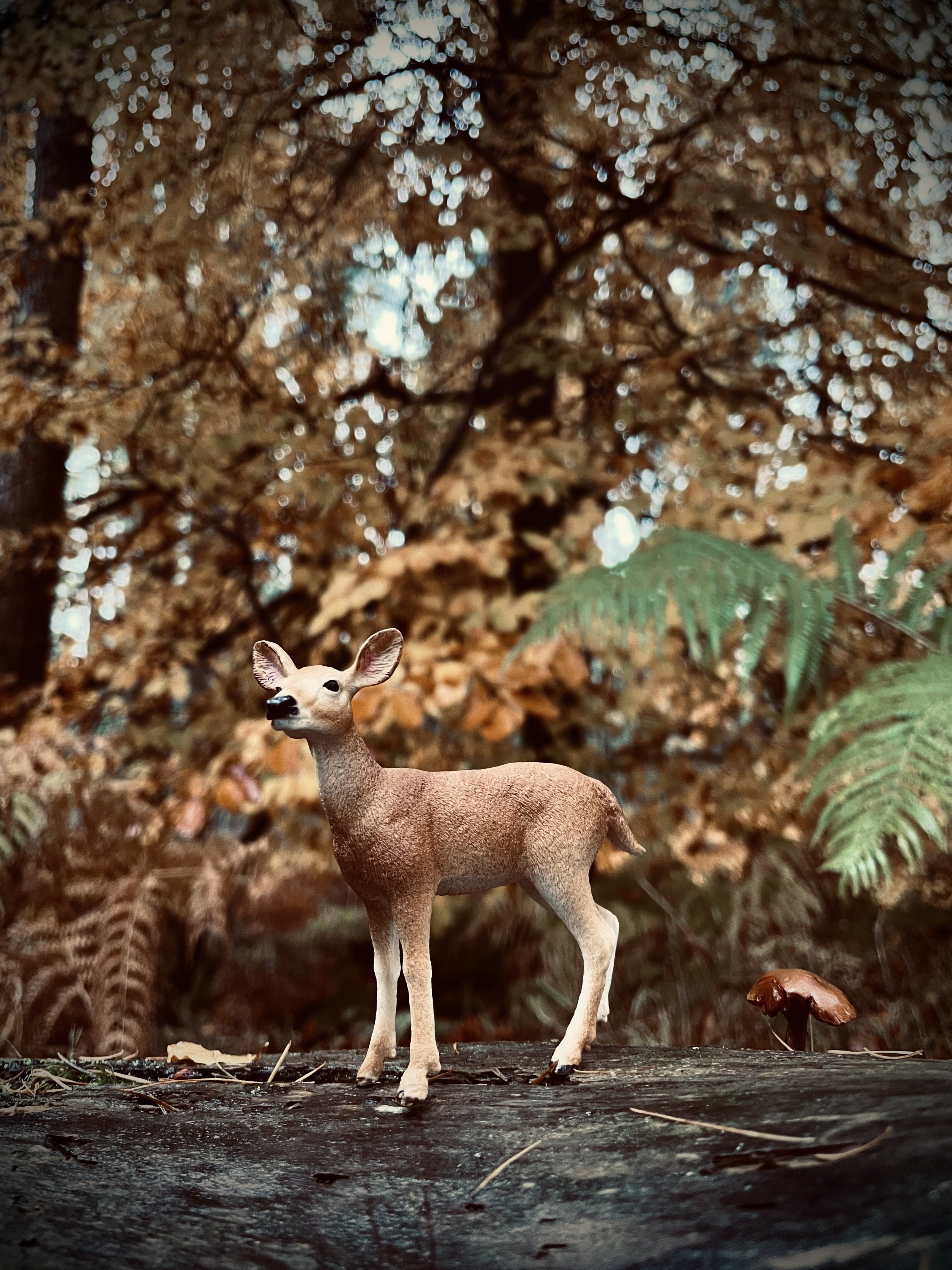 Hindsight - Theatre : Development 2026