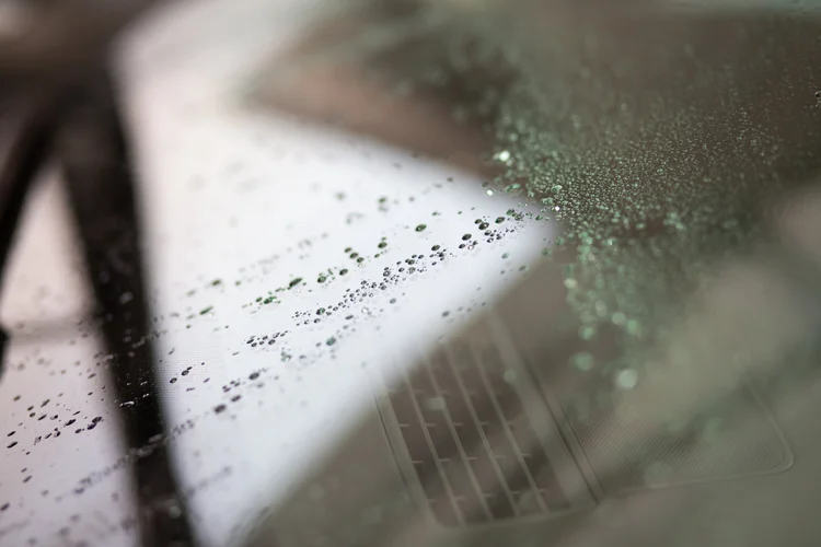 Glass Coatings — JR Automotive