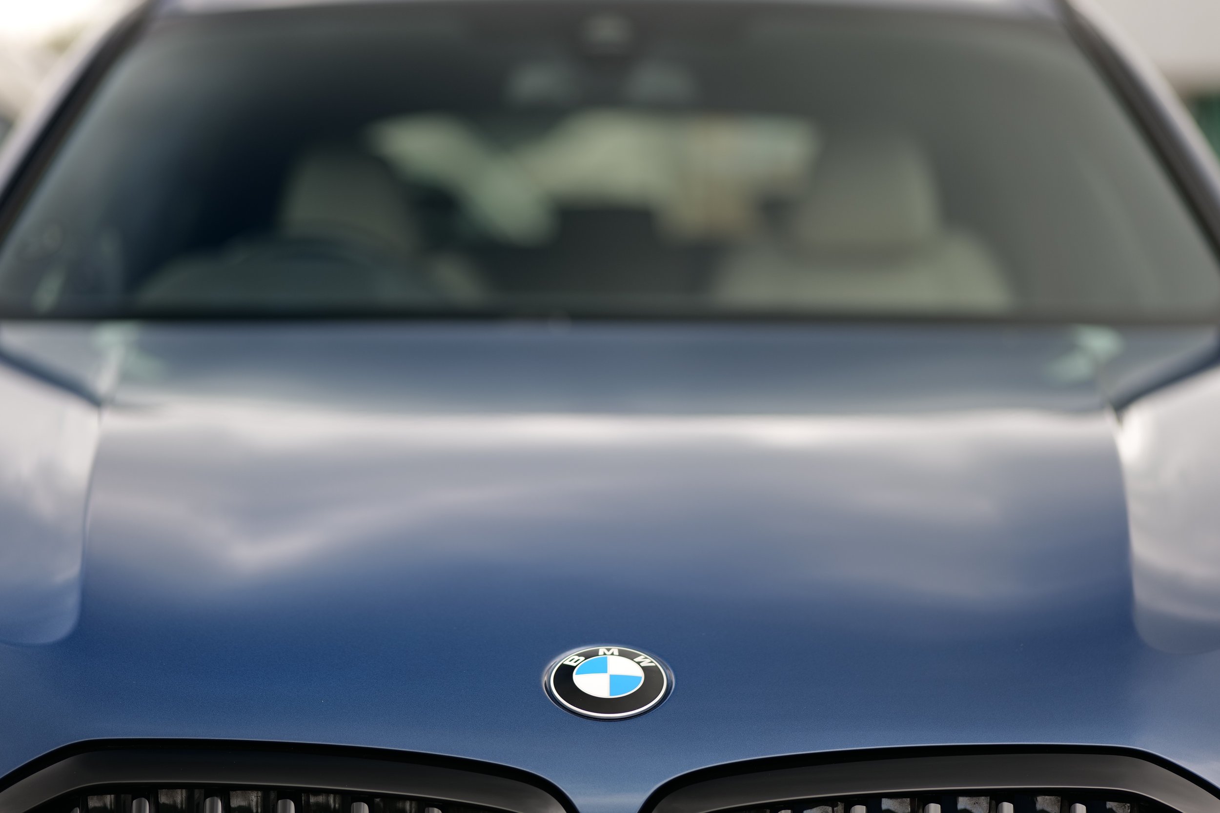 BMW X5 Blue Bonnet 4x3 Badge Detail.JPG