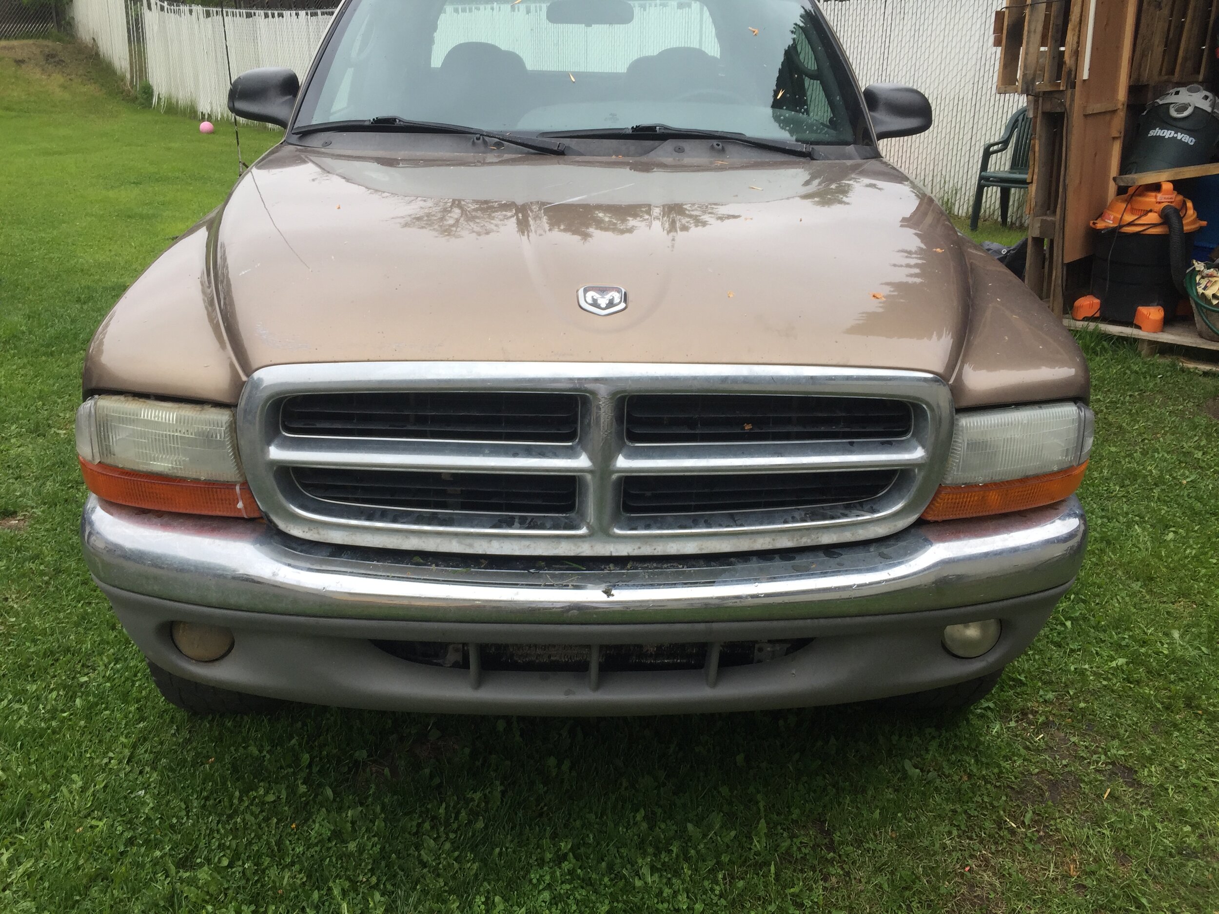 Trin 2000 Dodge Dakota
Email: Trinitygollan17@gmail.com