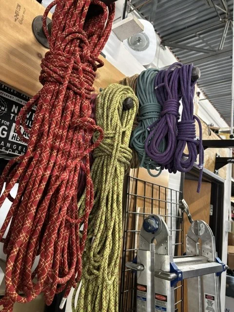 collected leashes