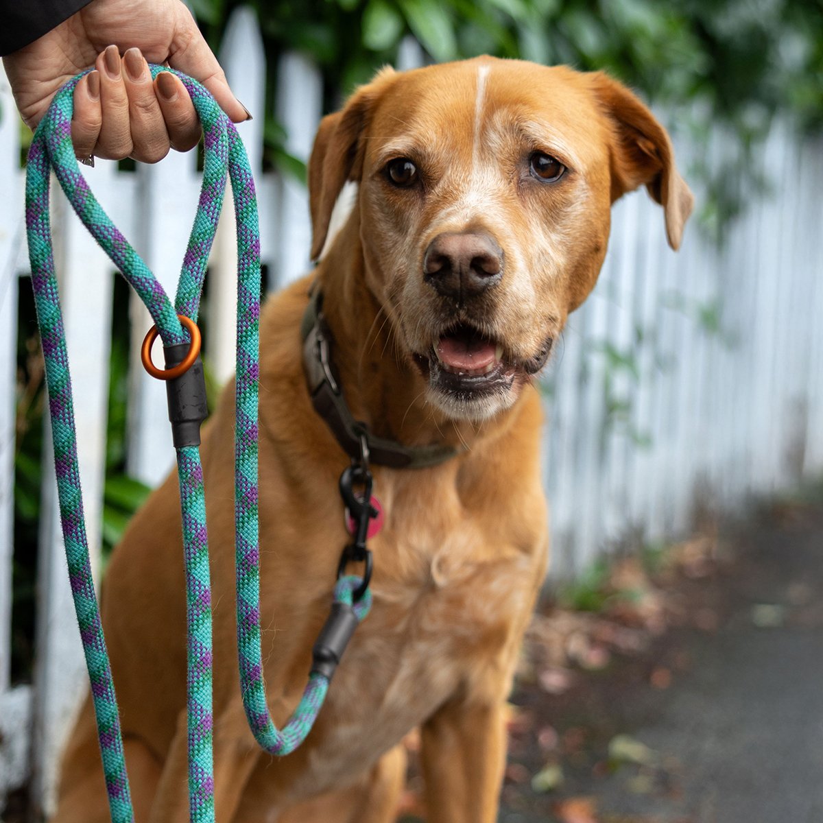 GF-PDP-rope-leash-4.jpg