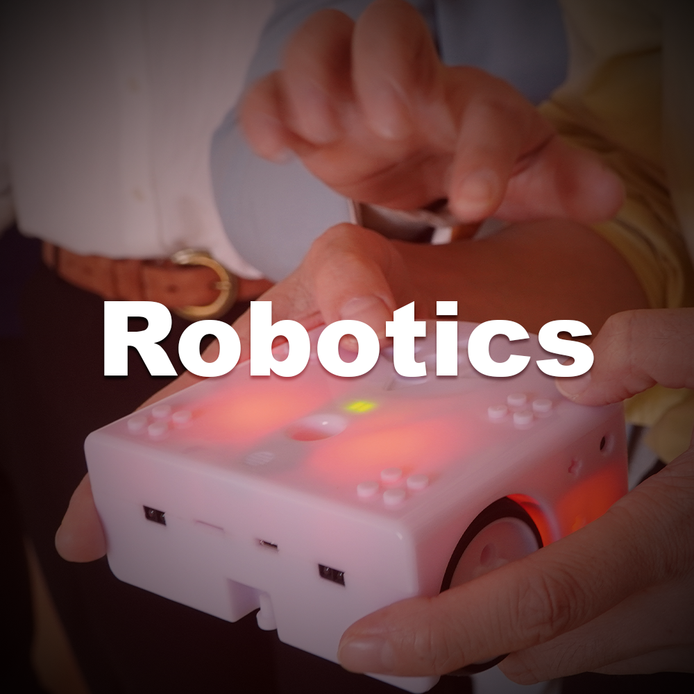 Robotics Brick.png