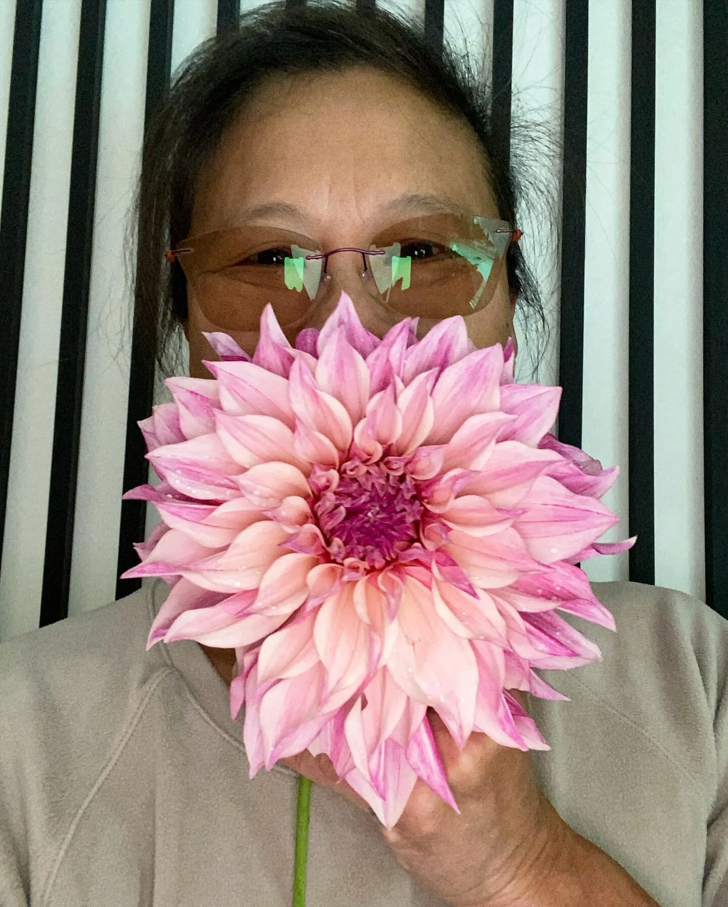 DAHLIA SEASON

Photo dump of this years beauties! 

So many rich colours and textures. The storm is taking down many of the tall ones so I&rsquo;m picking as many as I can before they fall over. 

So much beauty and joy a garden brings. 

&ldquo;Won'