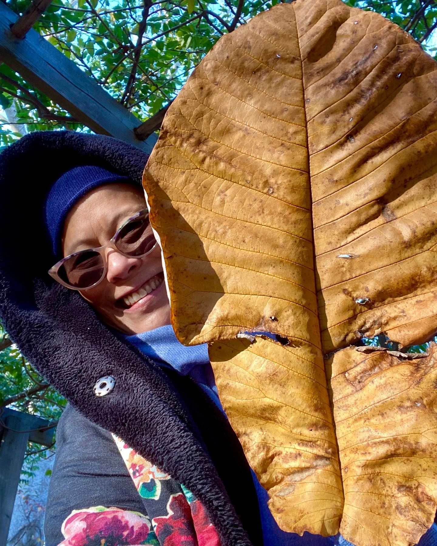 Have you felt the chill in the air?

Today is 霜降 Shuāngji&agrave;ng, Frost Descends, the last breath of autumn. The leaves let go. The first frost writes its signature on the grass.

This is the season I miss my grandmother most. Popo left Shanghai i