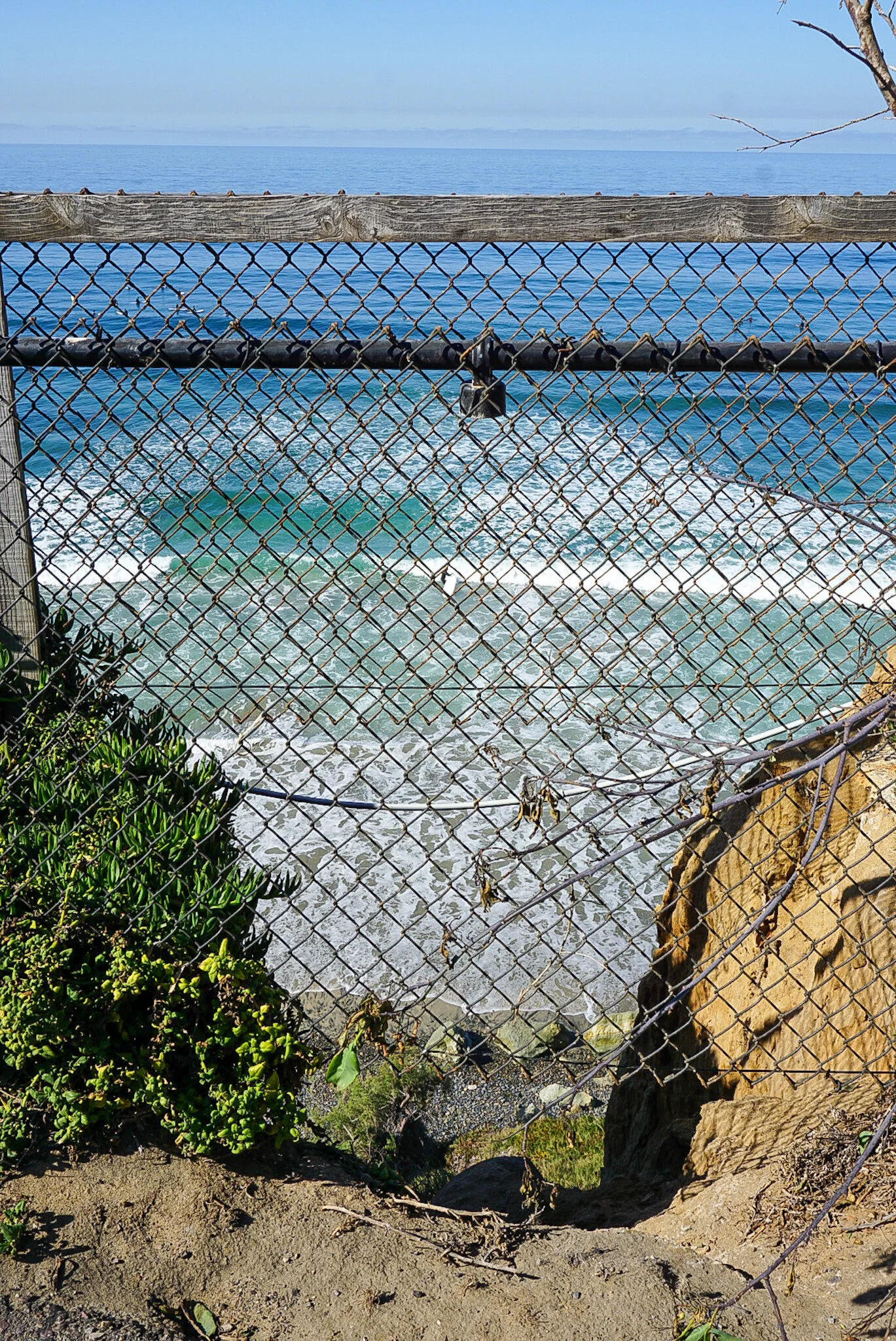 DSC06014.jpg