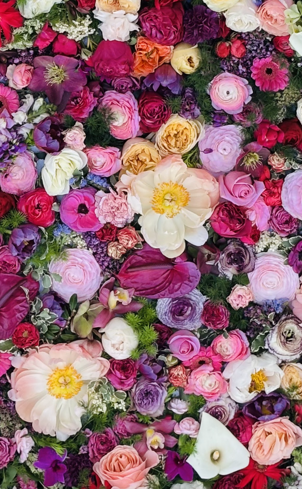 Bulk Flowers