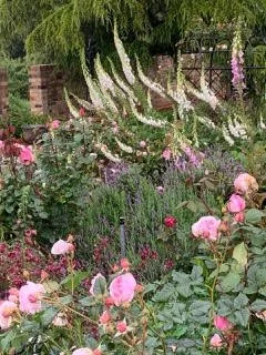 ashley garden.jpeg