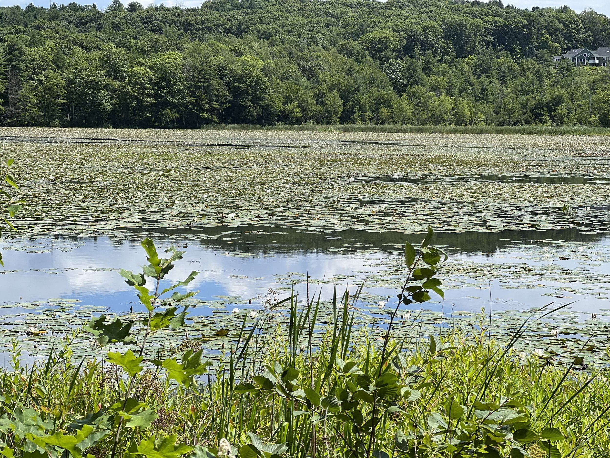 Rutland Rail Trail 2.jpeg