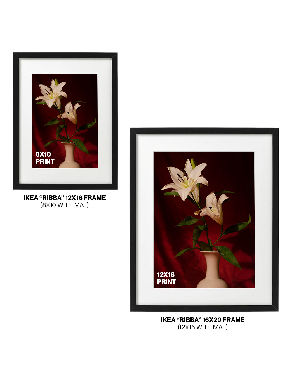amy-mcneil-white-lily-4.jpg