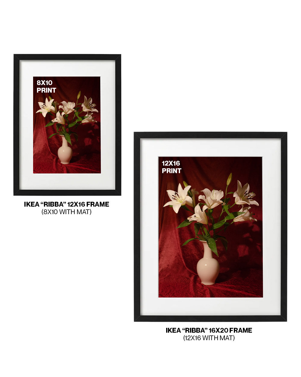 amy-mcneil-white-lily-print-full-crop-4.jpg