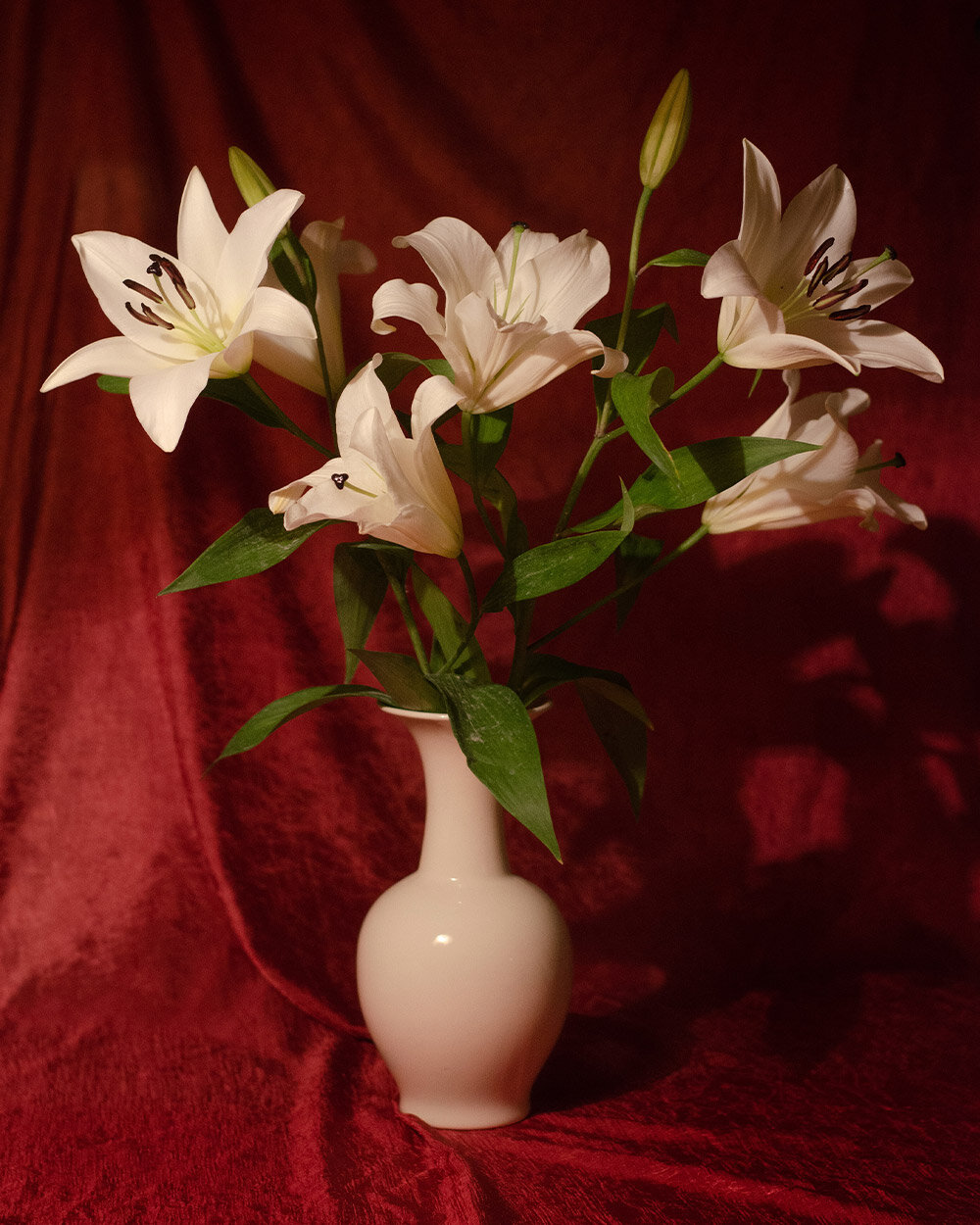 amy-mcneil-white-lily-print-full-crop-1.jpg